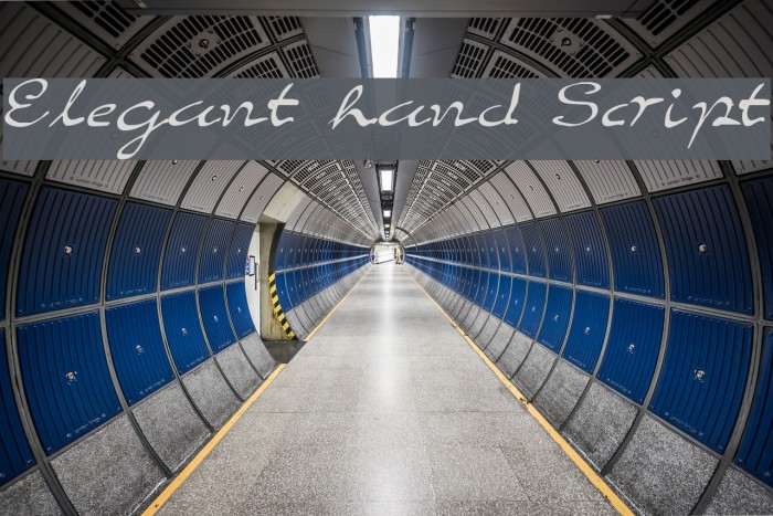 Elegant hand Script Font examples