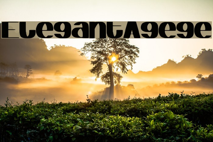 ElegantAgege Example 1