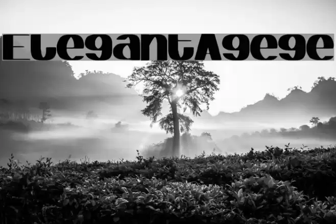 ElegantAgege Font examples
