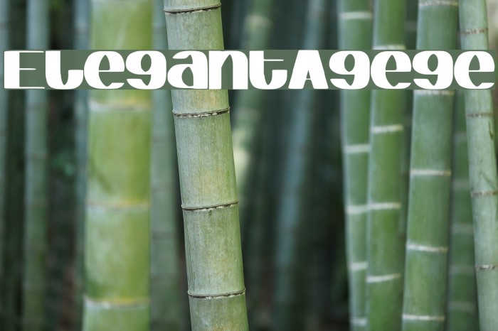 ElegantAgege Example 2