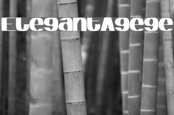ElegantAgege Font examples