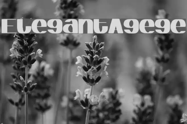 ElegantAgege Font examples