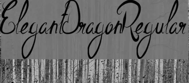 ElegantDragonRegular Example 3