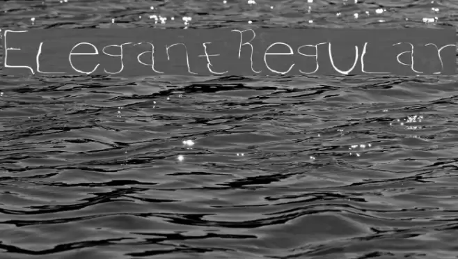 ElegantRegular Font examples