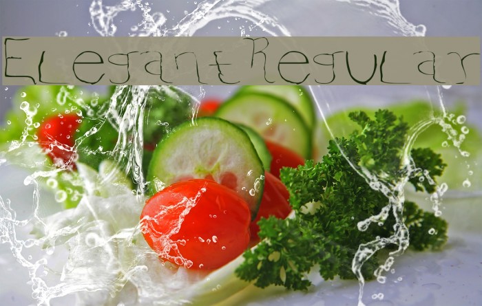 ElegantRegular Font examples