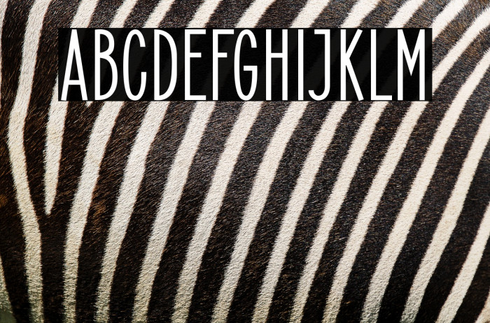 ElegantSans-Bold Example 2