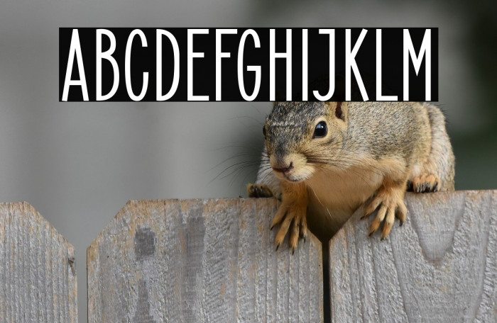 ElegantSans-Bold Example 3