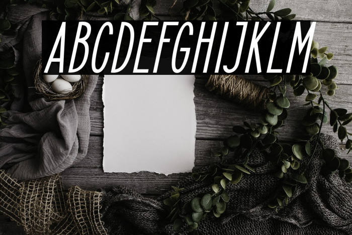 ElegantSans-BoldItalic Example 1