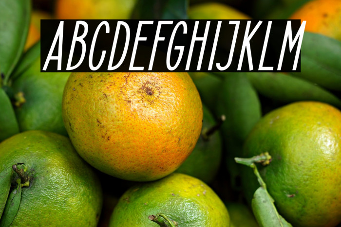 ElegantSans-BoldItalic Example 2