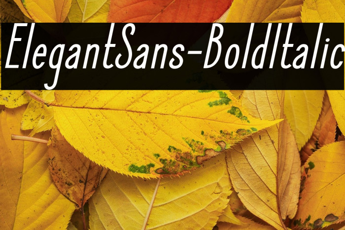 ElegantSans-BoldItalic Example 2