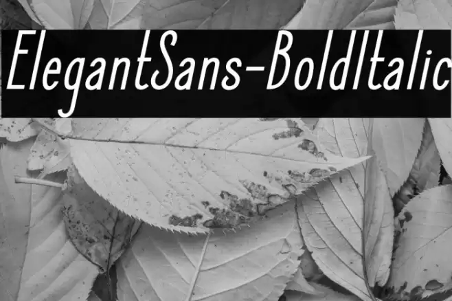 ElegantSans-BoldItalic Font examples