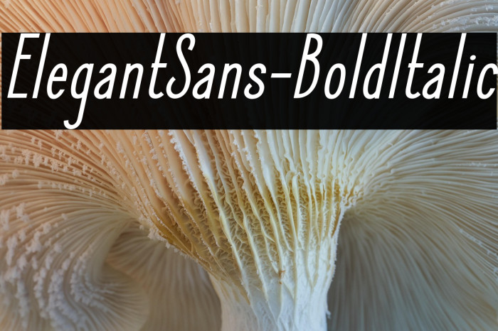 ElegantSans-BoldItalic Example 3