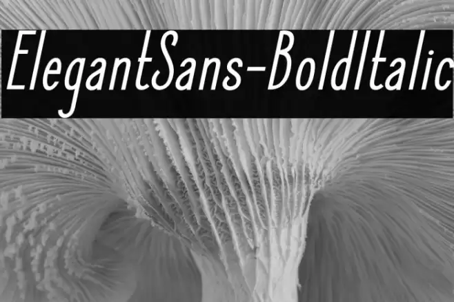 ElegantSans-BoldItalic Font examples