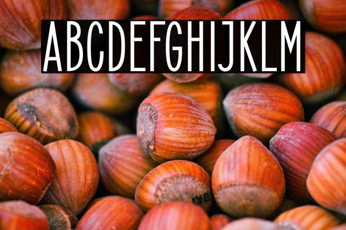 ElegantSans-Bold Example 3