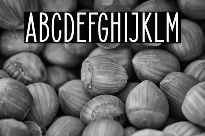 ElegantSans-Bold Font examples