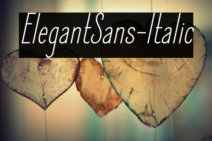 ElegantSans-Italic Example 2