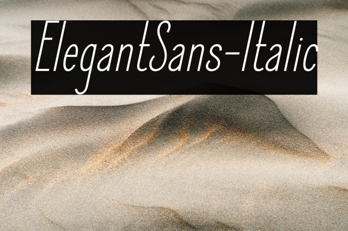 ElegantSans-Italic Example 3
