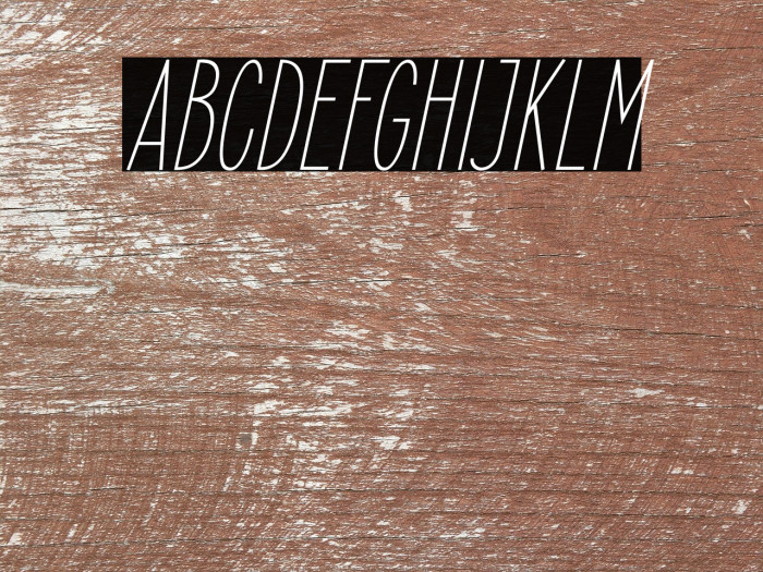 ElegantSans-LightItalic Example 1