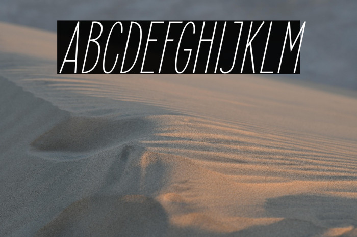 ElegantSans-LightItalic Example 2