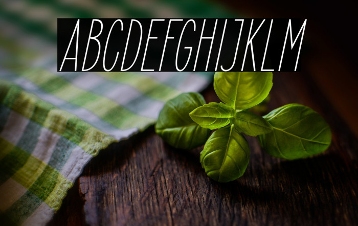 ElegantSans-LightItalic Example 3