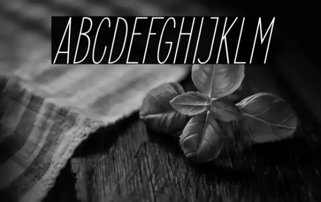 ElegantSans-LightItalic Font examples