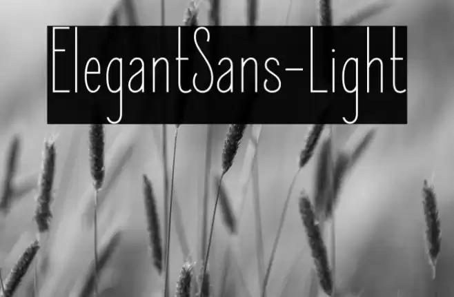 ElegantSans-Light Font examples