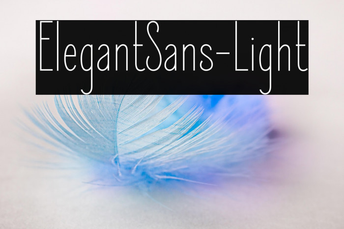 ElegantSans-Light Example 3
