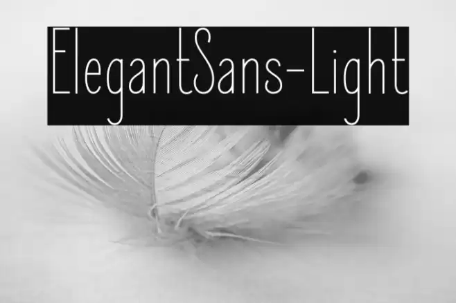 ElegantSans-Light Font examples
