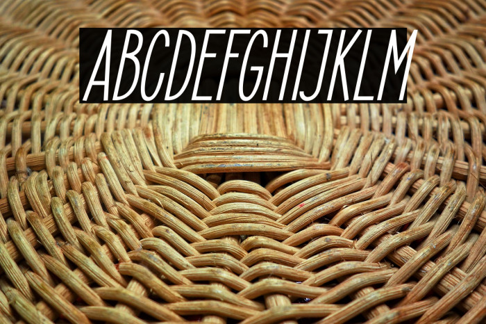 ElegantSans-SemiBoldItalic Example 1