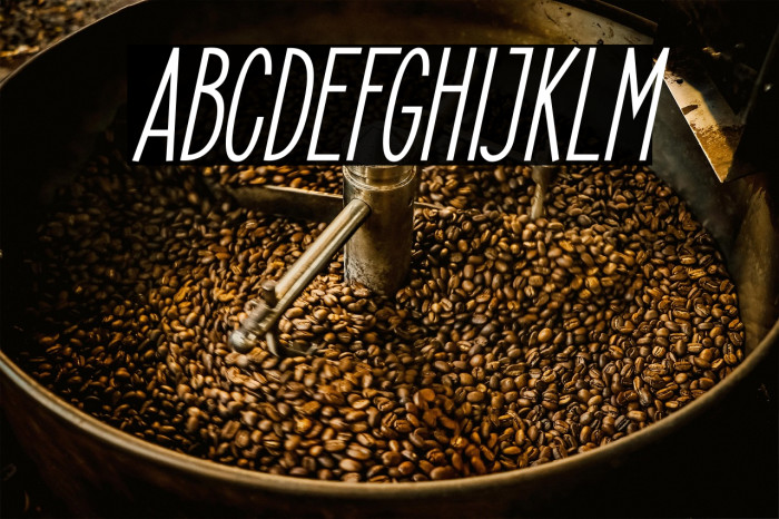 ElegantSans-SemiBoldItalic Example 2