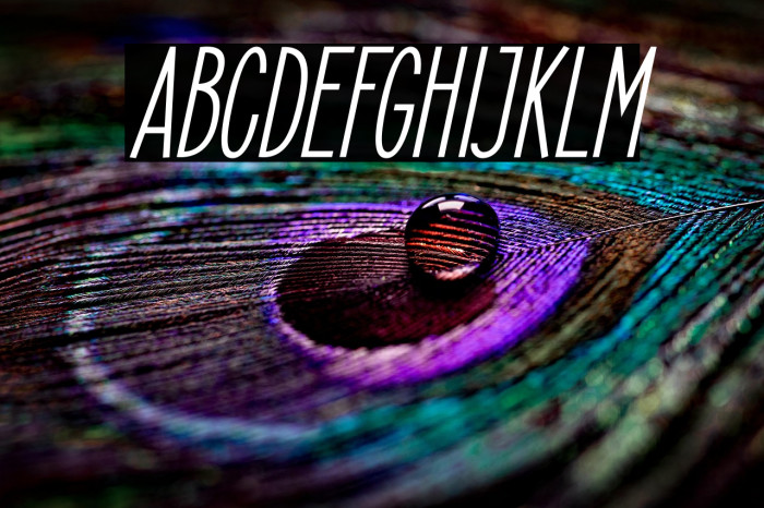 ElegantSans-SemiBoldItalic Example 3