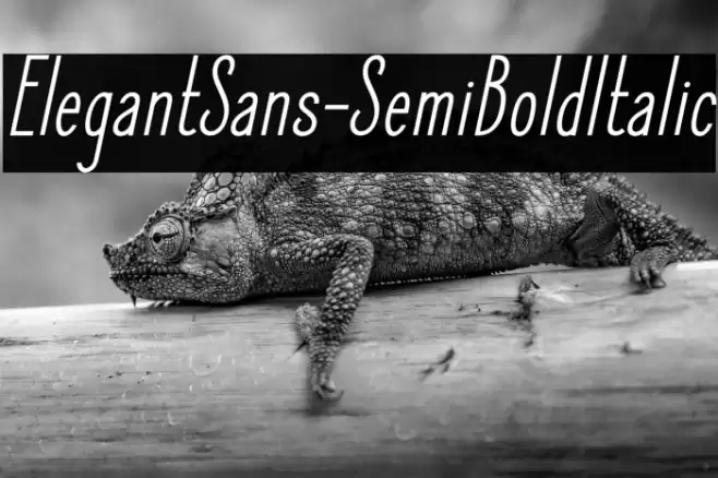 ElegantSans-SemiBoldItalic Font examples
