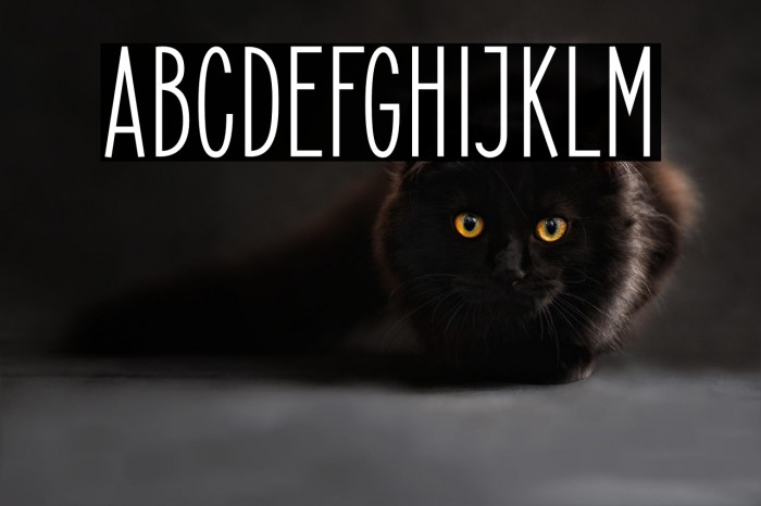 ElegantSans-SemiBold Example 1