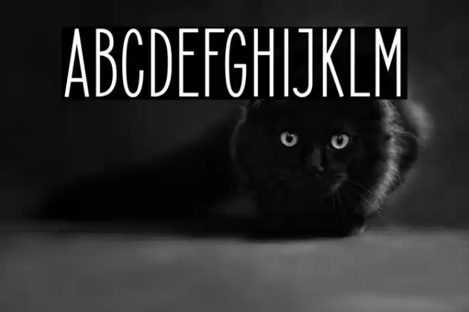 ElegantSans-SemiBold Font examples