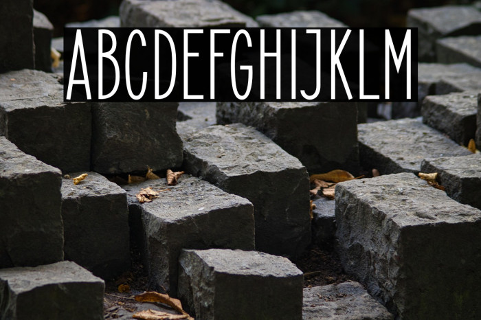 ElegantSans-SemiBold Example 3