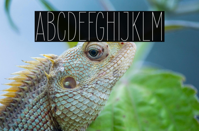 ElegantSans-Thin Example 2