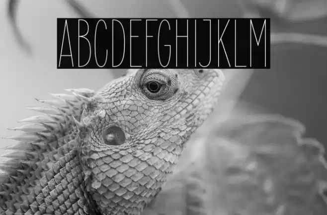 ElegantSans-Thin Font examples