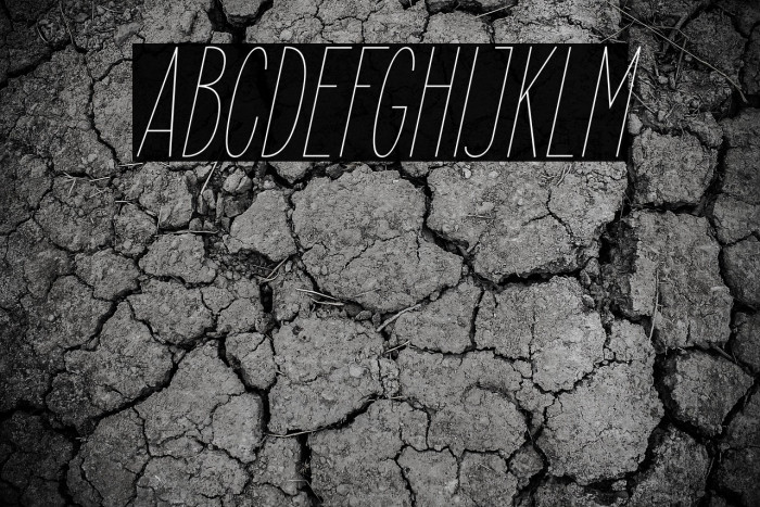 ElegantSans-ThinItalic Example 1