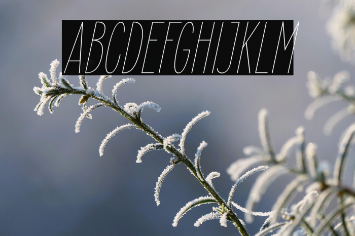 ElegantSans-ThinItalic Example 2