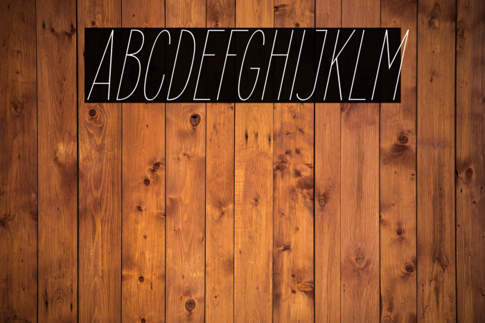 ElegantSans-ThinItalic Example 3