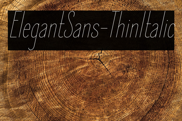 ElegantSans-ThinItalic Example 1