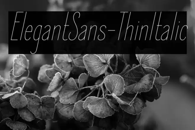 ElegantSans-ThinItalic Font examples