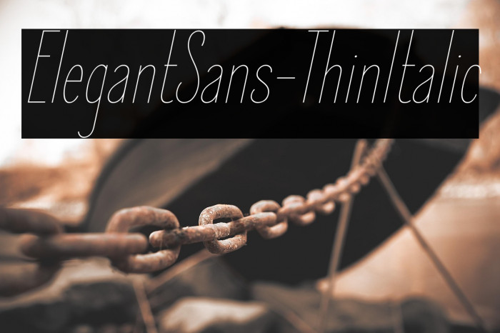 ElegantSans-ThinItalic Example 3
