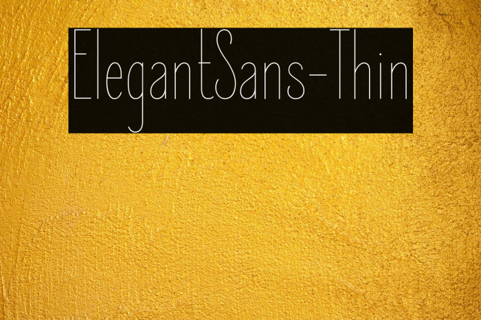 ElegantSans-Thin Example 3