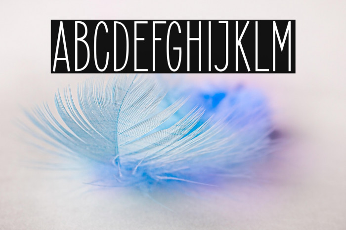 ElegantSans Example 1