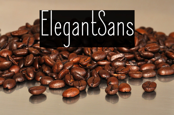 ElegantSans Example 1