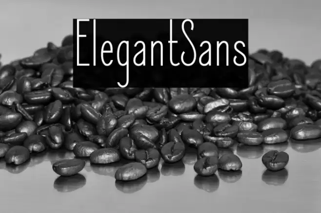 ElegantSans Font examples