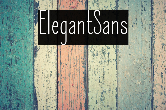 ElegantSans Example 2