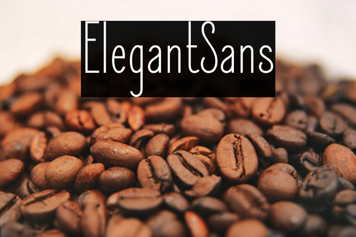 ElegantSans Example 3
