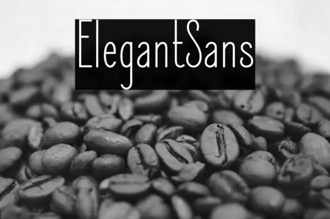 ElegantSans Font examples